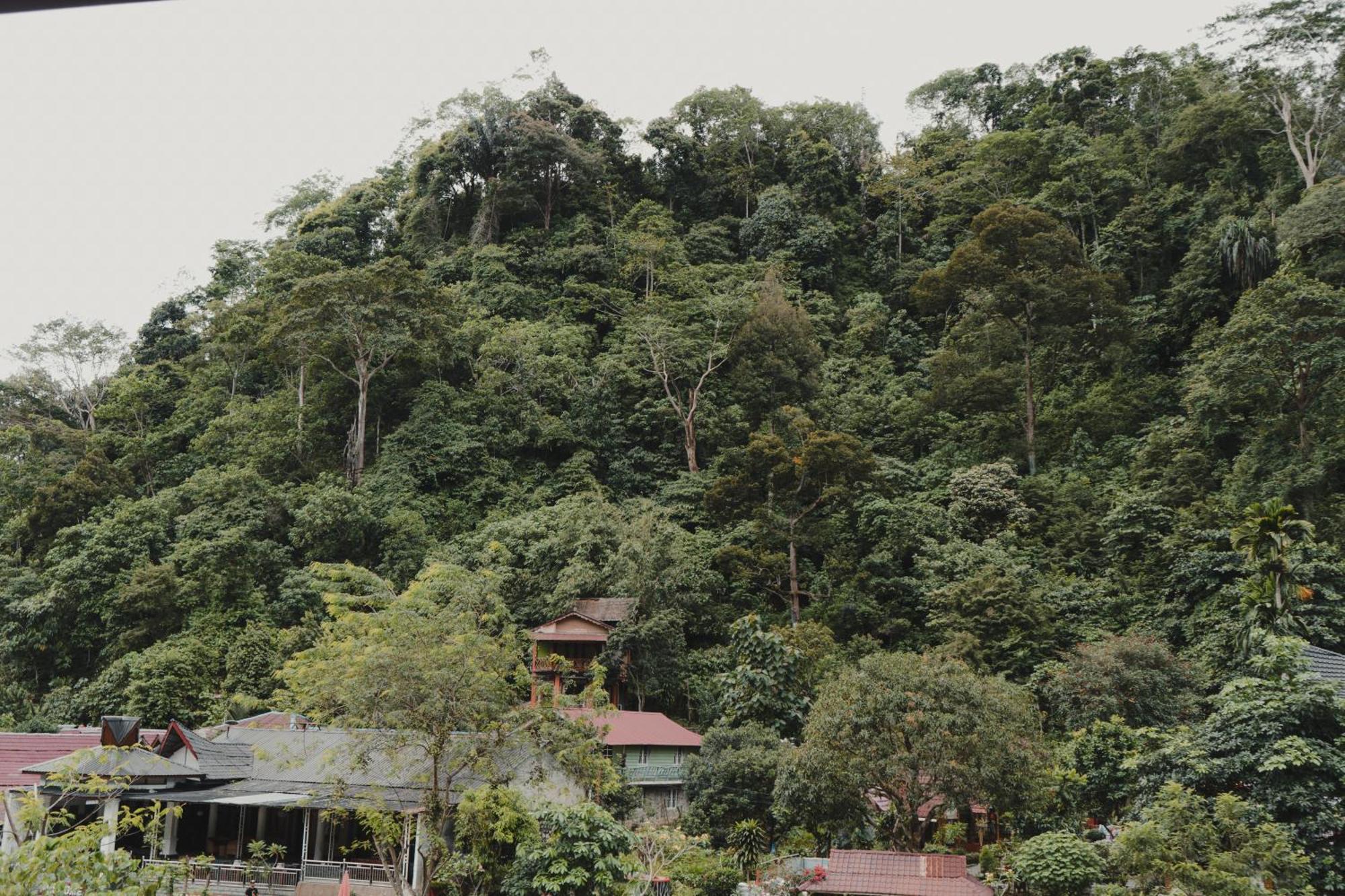 Hotel Charlys Little House à Bukit Lawang Extérieur photo